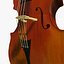 Stringed Musical Collection Matt