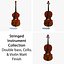 Stringed Musical Collection Matt