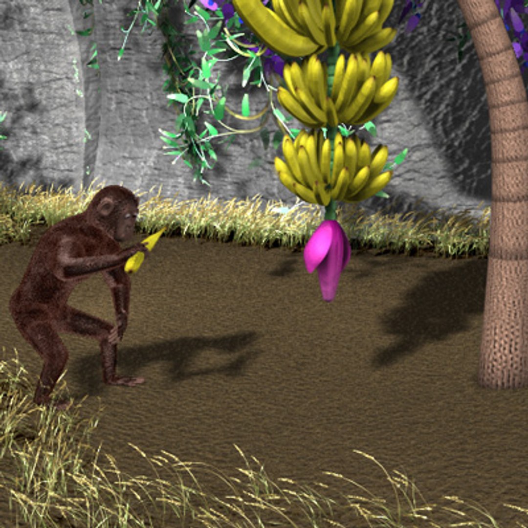 Maya Rigged Monkey