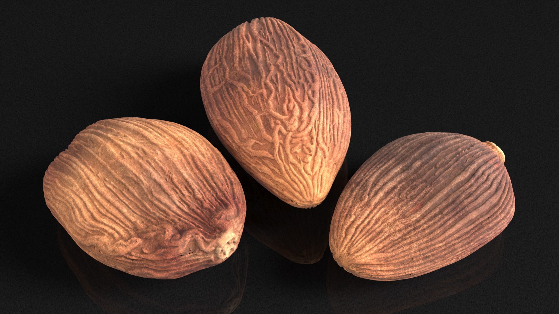 3D Spices Collection 2 model https://p.turbosquid.com/ts-thumb/xA/EZMief/Bl/spicescollection2c4dmodel021/jpg/1663162521/1920x1080/fit_q87/aa9e3b236084fd694902126782eff0bbb4d408ef/spicescollection2c4dmodel021.jpg