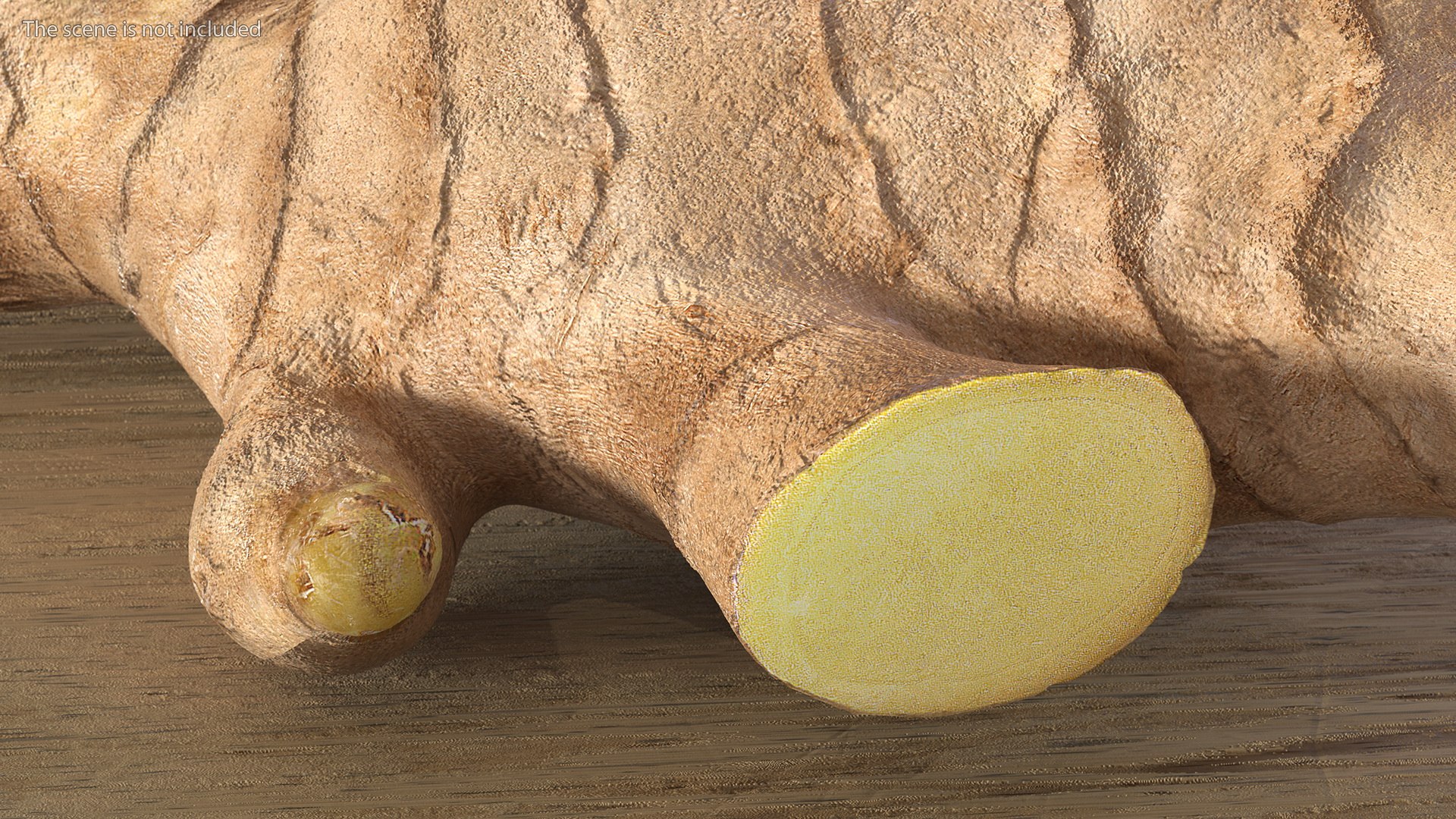 3D Spices Collection 2 model https://p.turbosquid.com/ts-thumb/xA/EZMief/Js/spicescollection2c4dmodel006/jpg/1663162471/1920x1080/fit_q87/32a02a0e30c09b757b294271163b6a30daa4db0a/spicescollection2c4dmodel006.jpg