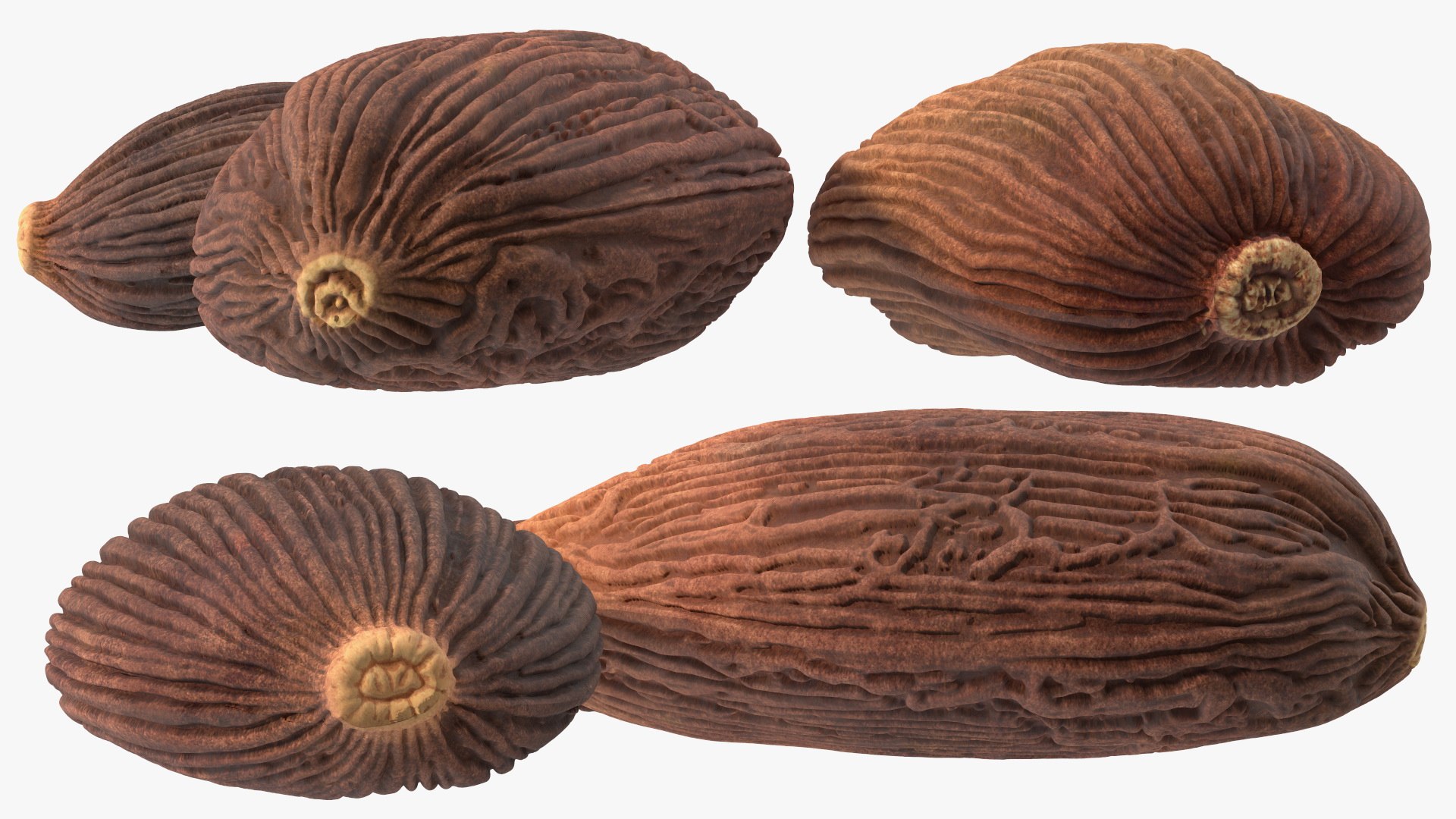 3D Spices Collection 2 model https://p.turbosquid.com/ts-thumb/xA/EZMief/P9/spicescollection2c4dmodel025/jpg/1663162534/1920x1080/fit_q87/64dd2730d37c69a6a2aee07e32efa67d97787811/spicescollection2c4dmodel025.jpg