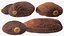 Spices Collection 2