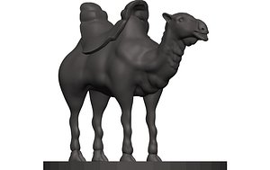 Camel 3D