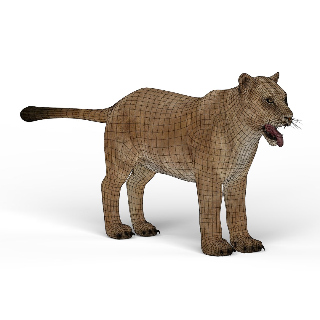 lioness materials 3D https://p.turbosquid.com/ts-thumb/xA/YPZRLj/4DCBFGjy/lioness06/jpg/1580714590/1920x1080/fit_q87/e3e106797ed0c7940d5cf3fabaa2e691ed3dc018/lioness06.jpg