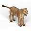 Lioness