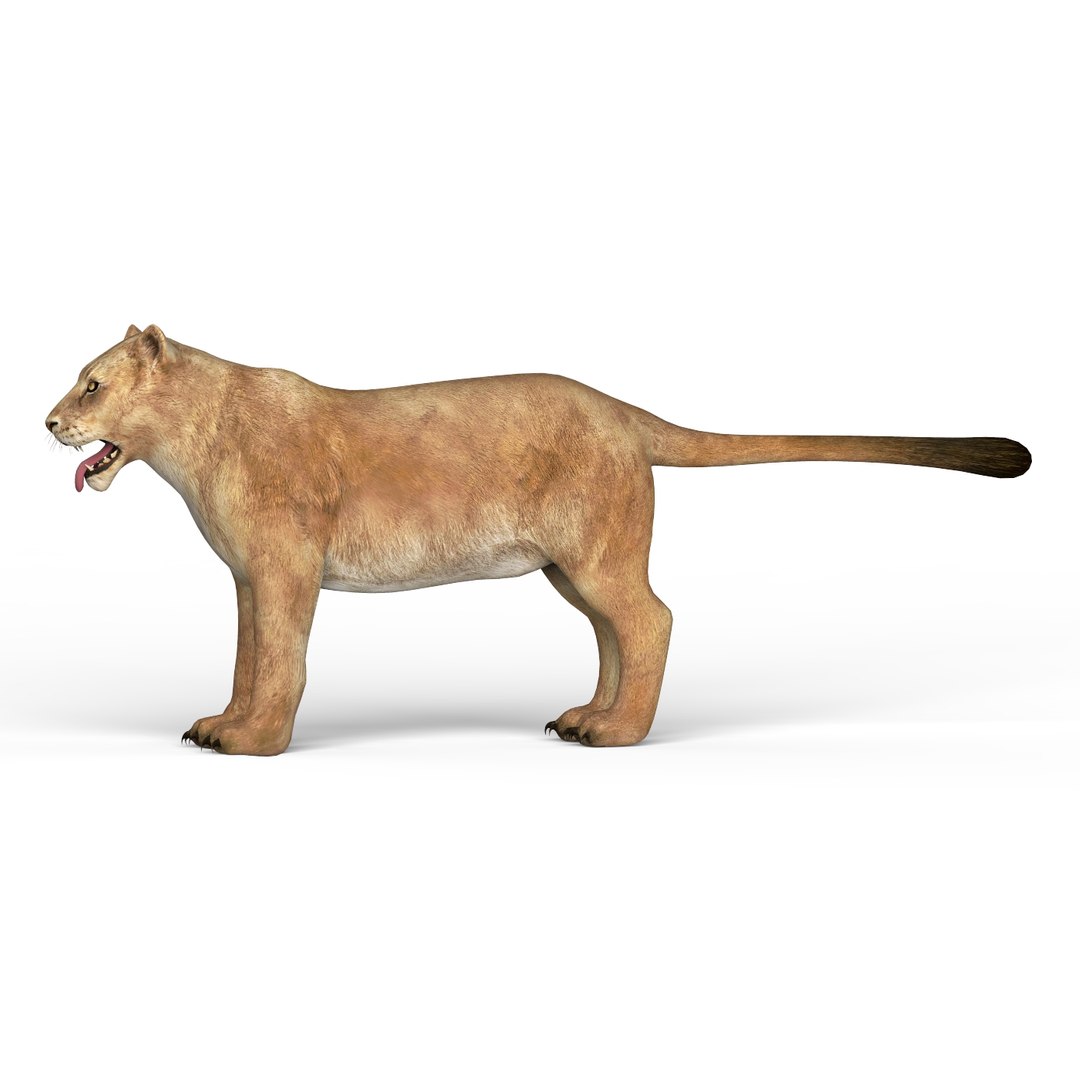 lioness materials 3D https://p.turbosquid.com/ts-thumb/xA/YPZRLj/WMJdxtzN/lioness02/jpg/1580714590/1920x1080/fit_q87/cbc29a52b3d94ab629917047f347c9bd31ef3226/lioness02.jpg