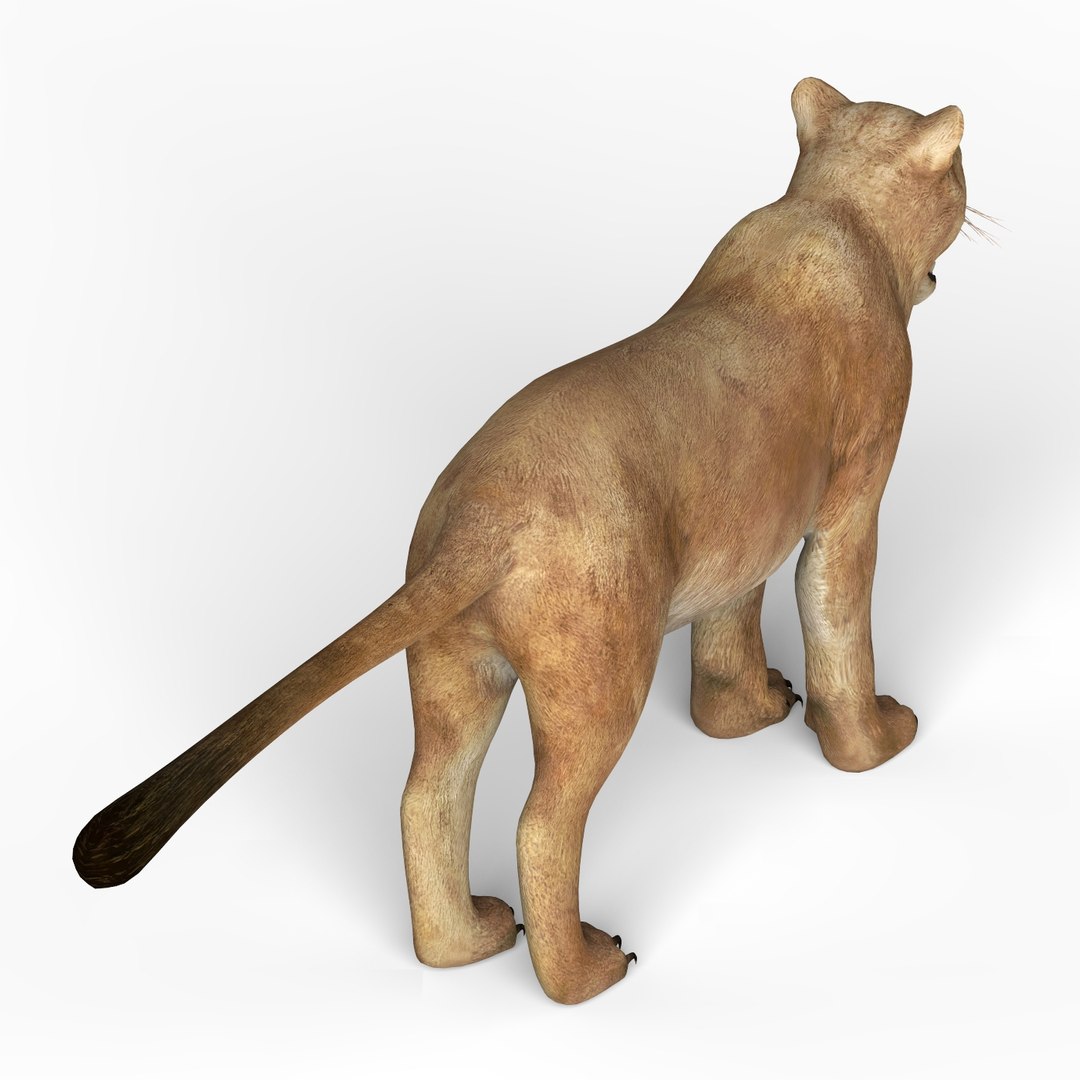 lioness materials 3D https://p.turbosquid.com/ts-thumb/xA/YPZRLj/anNYeIkR/lioness04/jpg/1580714590/1920x1080/fit_q87/930cae2ff17313f5f31c5697b9699b1927bb864c/lioness04.jpg