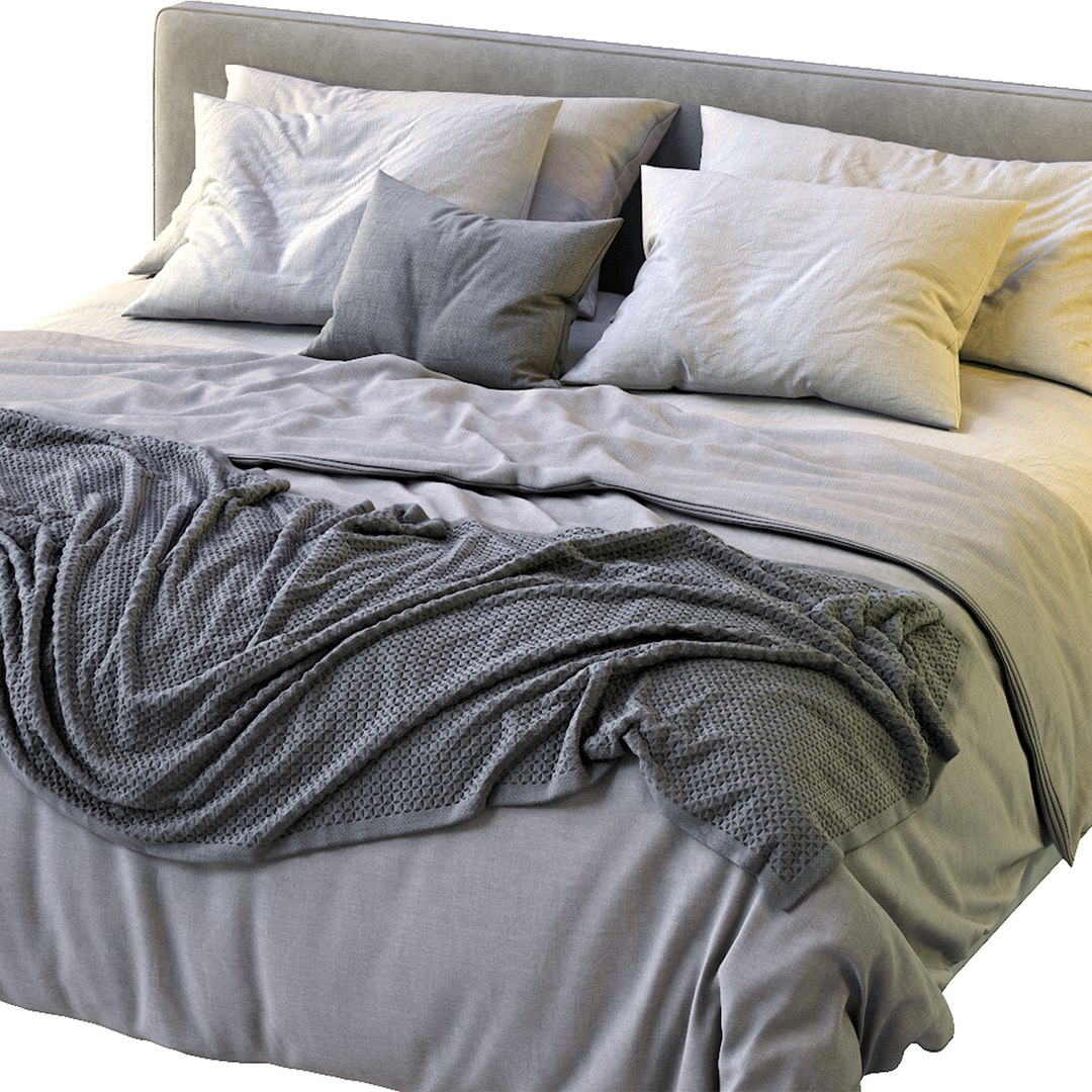 alberta bed laguna model https://p.turbosquid.com/ts-thumb/xA/b7eGNi/a1yKKQ1h/preview2/jpg/1603198188/1920x1080/fit_q87/49205b08ff6d26a397c5ffd07fa1c5f6c9af7bf4/preview2.jpg