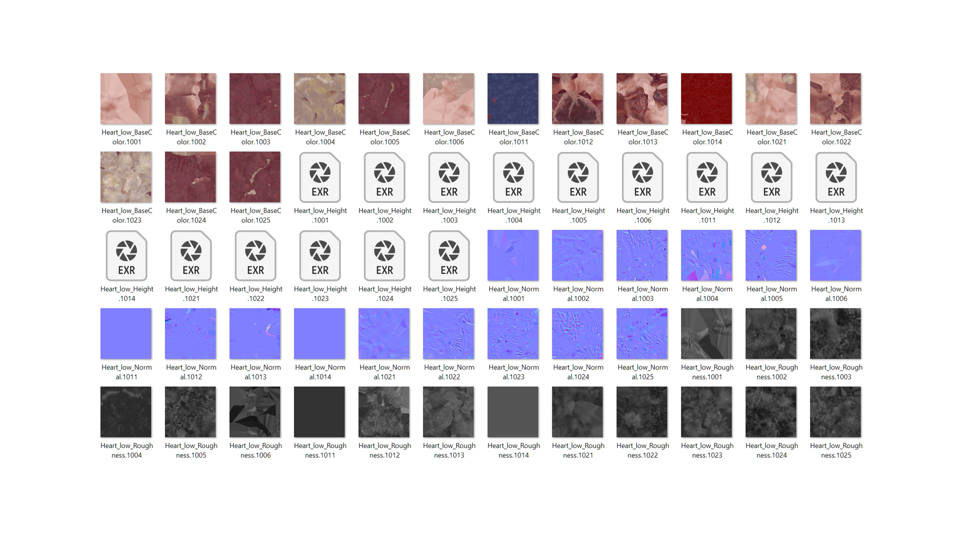 modelo 3d Corte transversal del corazón Estático anterior - TurboSquid ...