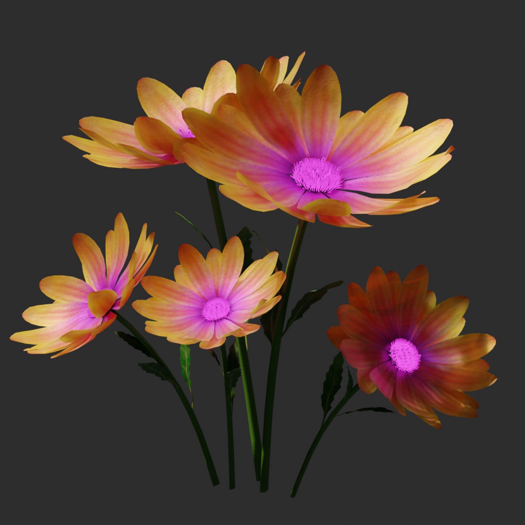 3D daisyflower flower daisy https://p.turbosquid.com/ts-thumb/xB/HvtDnC/Pj8ENMSw/4/png/1595239670/1920x1080/fit_q87/803aa8a6a9dd3bdb6a181e5032c6ded5fdff099a/4.jpg