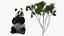 Giant Panda with Eucalyptus Tree Collection 3D model