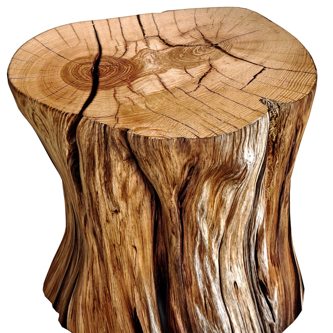 Rustic Wooden side table tree stump Coffee Side Table Sculptural 3D model model https://p.turbosquid.com/ts-thumb/xB/KwzpkN/G1/fds3/jpg/1751950942/1920x1080/fit_q87/b7bf7468affbecc57106cd6bd036a1791f6321d9/fds3.jpg
