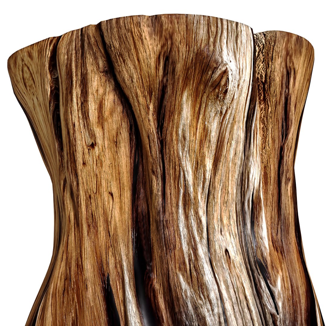 Rustic Wooden side table tree stump Coffee Side Table Sculptural 3D model model https://p.turbosquid.com/ts-thumb/xB/KwzpkN/Jf/fds4/jpg/1751950943/1920x1080/fit_q87/061355469f3217d0826f0e2e255adb6e0f45a894/fds4.jpg