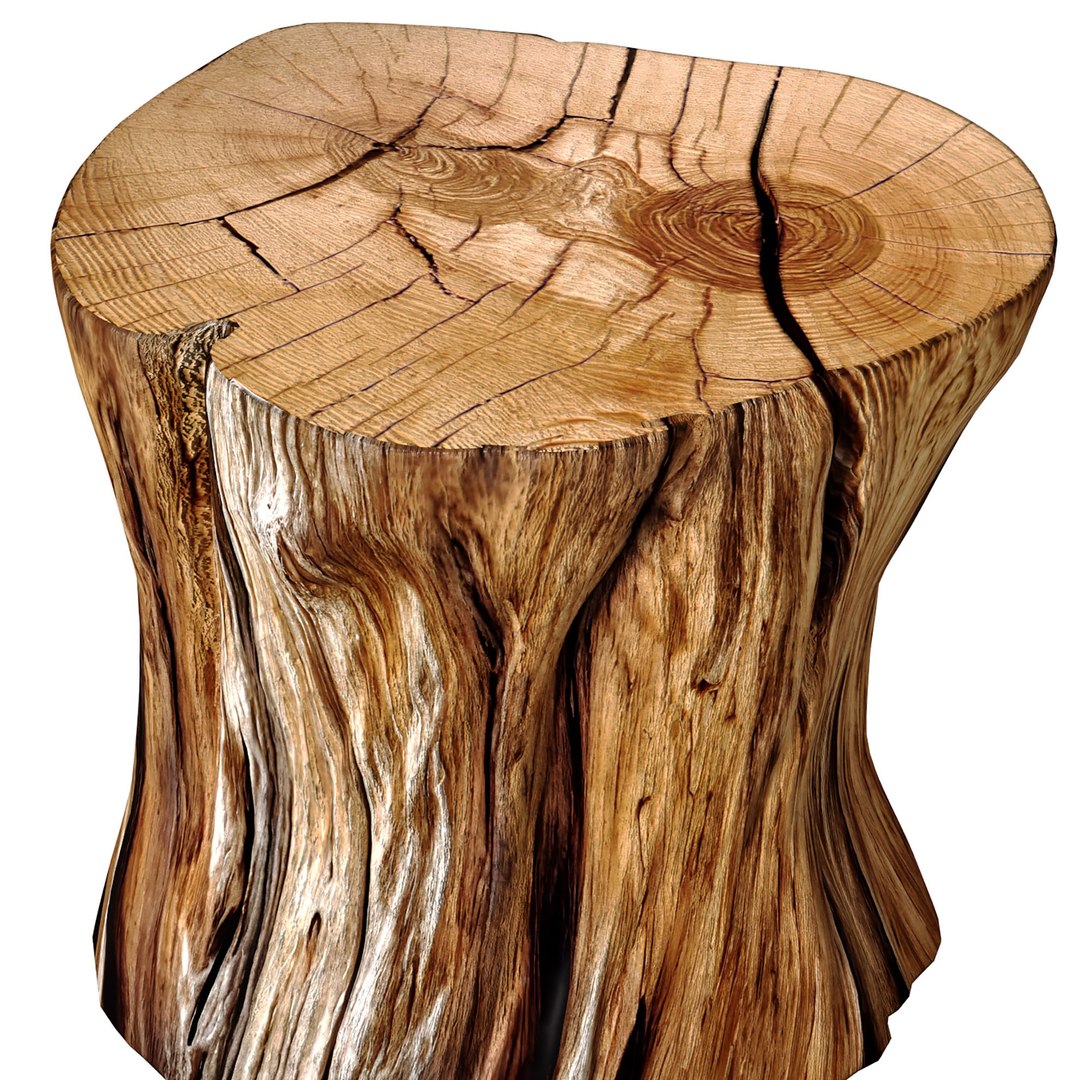 Rustic Wooden side table tree stump Coffee Side Table Sculptural 3D model model https://p.turbosquid.com/ts-thumb/xB/KwzpkN/ys/3ddd2/jpg/1751950921/1920x1080/fit_q87/2b89b542aa73d7e28edc4243c8bbfcd389627995/3ddd2.jpg