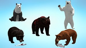 5 in 1 Realistic Bear Pack