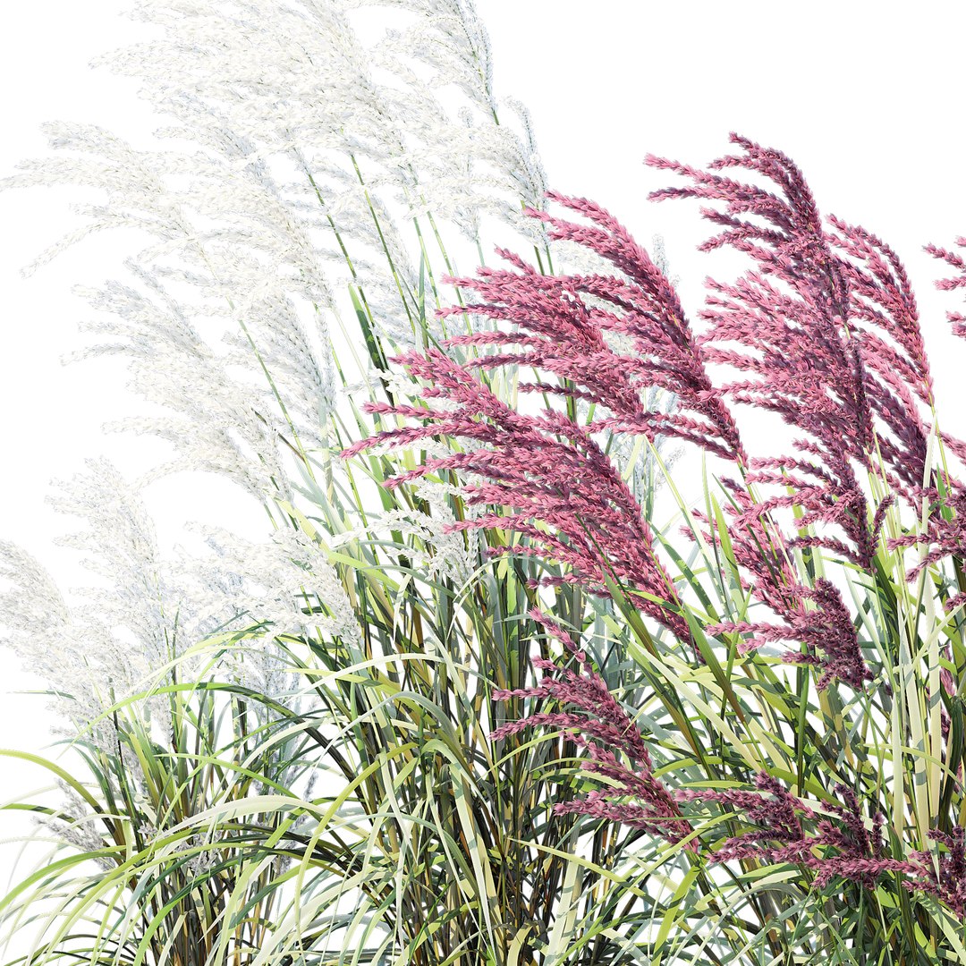 Fluted 3D - TurboSquid 2033825