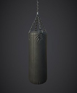 punching bag 3D model