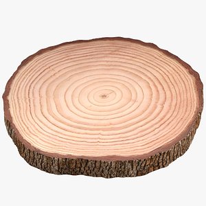 Tree Trunk Ring Section Slice 3D model
