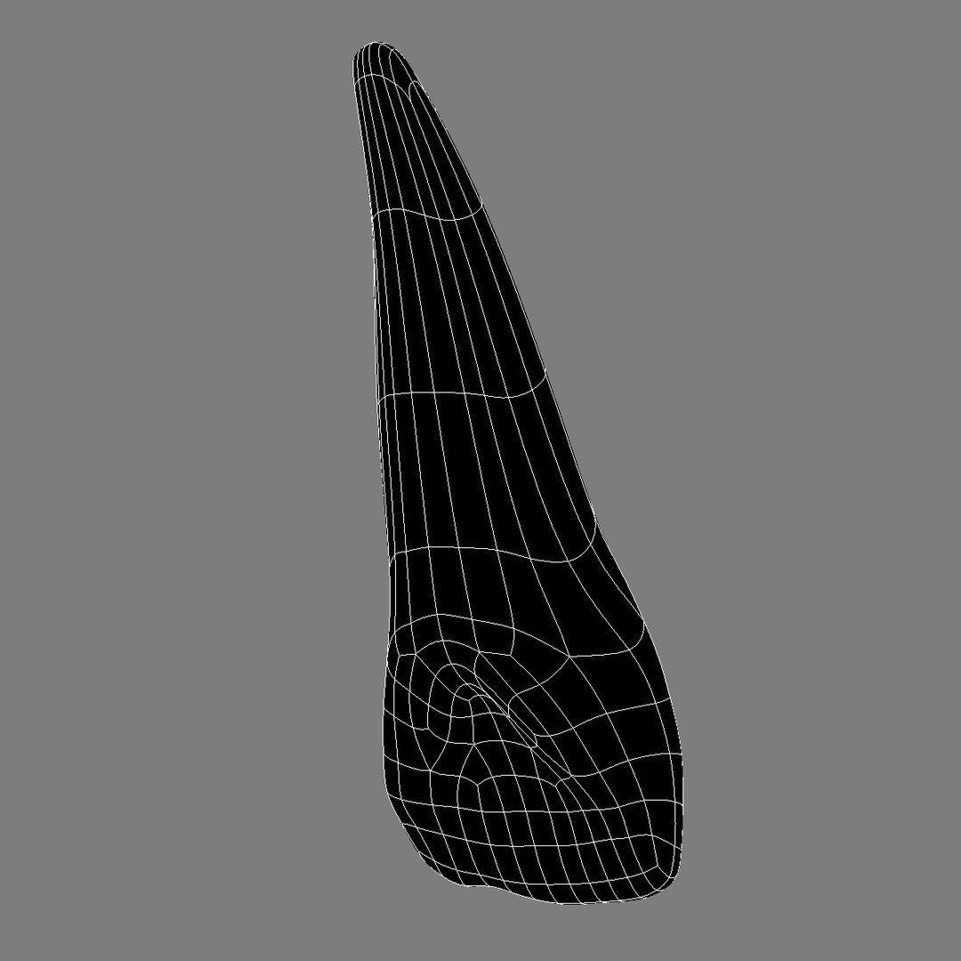 Max Tooth Upper Lateral Incisor