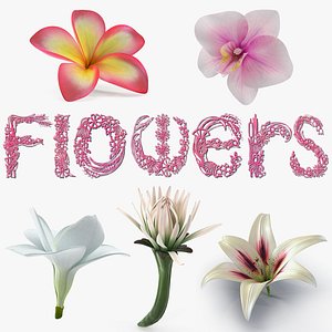 3D model flowers 7