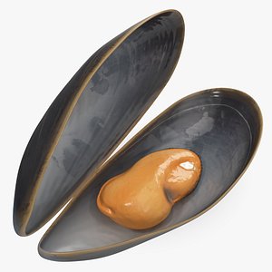 Open Cooked Mussel