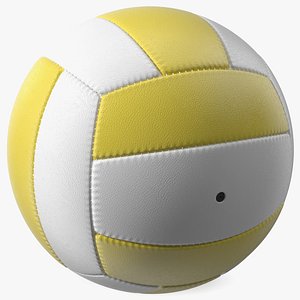 Training Volley Ball
