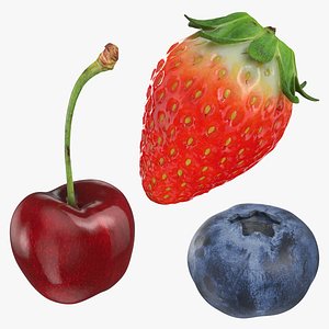 Berry Collection 1
