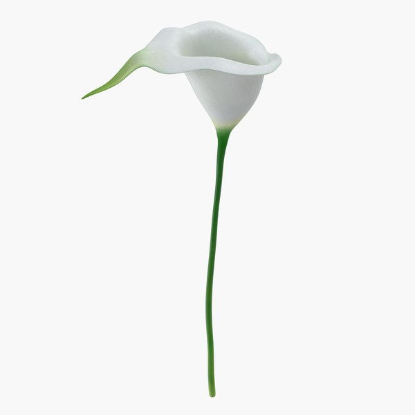 callaflowermb3dmodel000.jpg