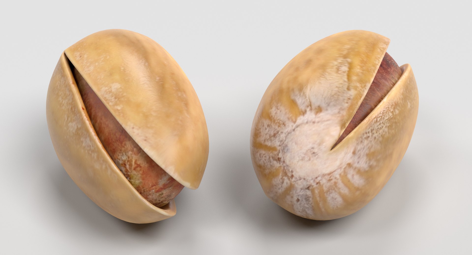 3D nuts walnut shell https://p.turbosquid.com/ts-thumb/xC/J2MuIi/FIvpleS8/pistachiog/png/1518260993/1920x1080/fit_q87/72eb7c40295c3b2f7f04b9bd66f00a9d1c360406/pistachiog.jpg