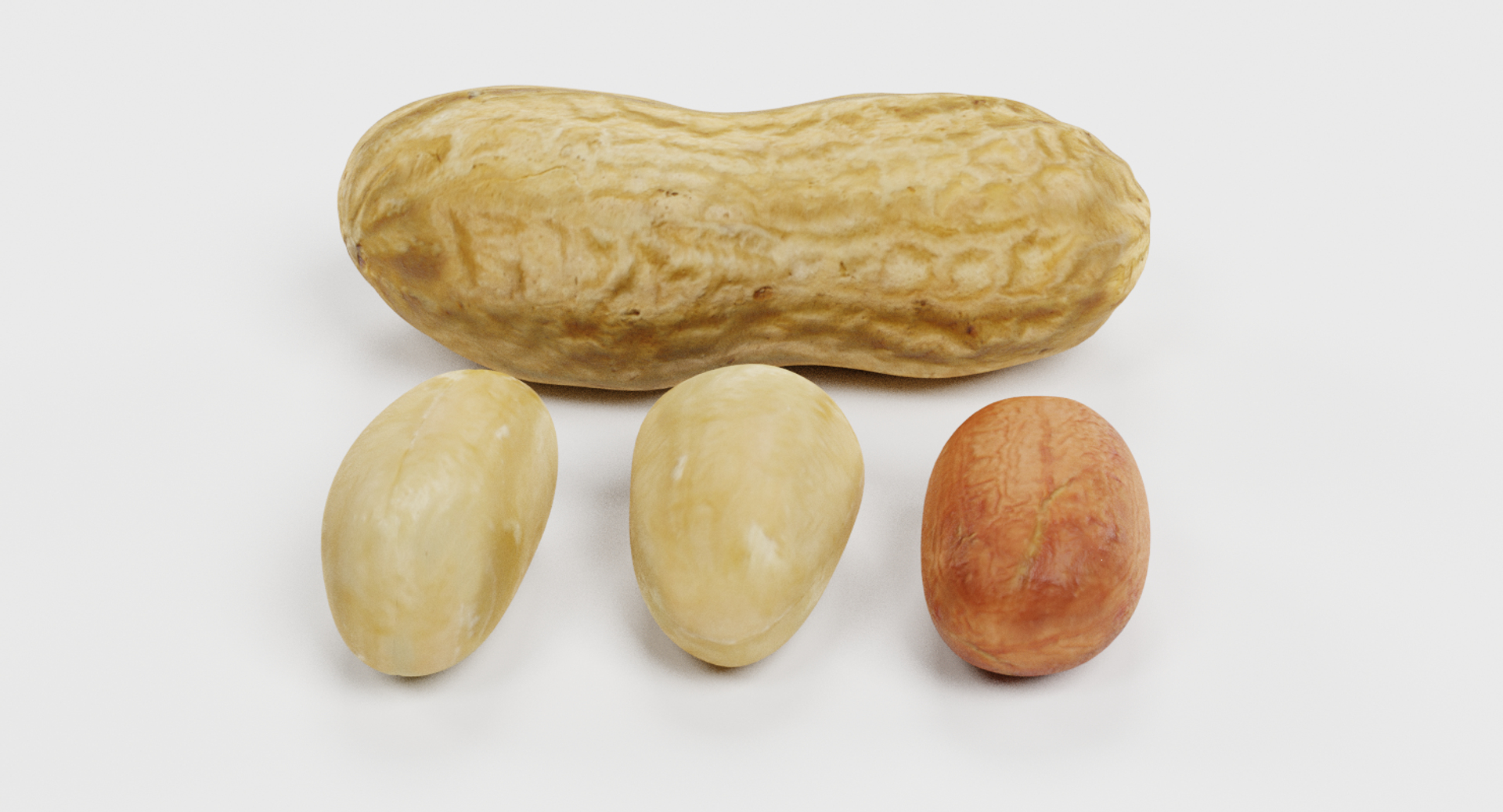 3D nuts walnut shell https://p.turbosquid.com/ts-thumb/xC/J2MuIi/TmXQ0q8r/0001/png/1518264272/1920x1080/turn_fit_q99/331a73fdb6e3fca8f90e90ae5bda046b983beb42/0001-1.jpg