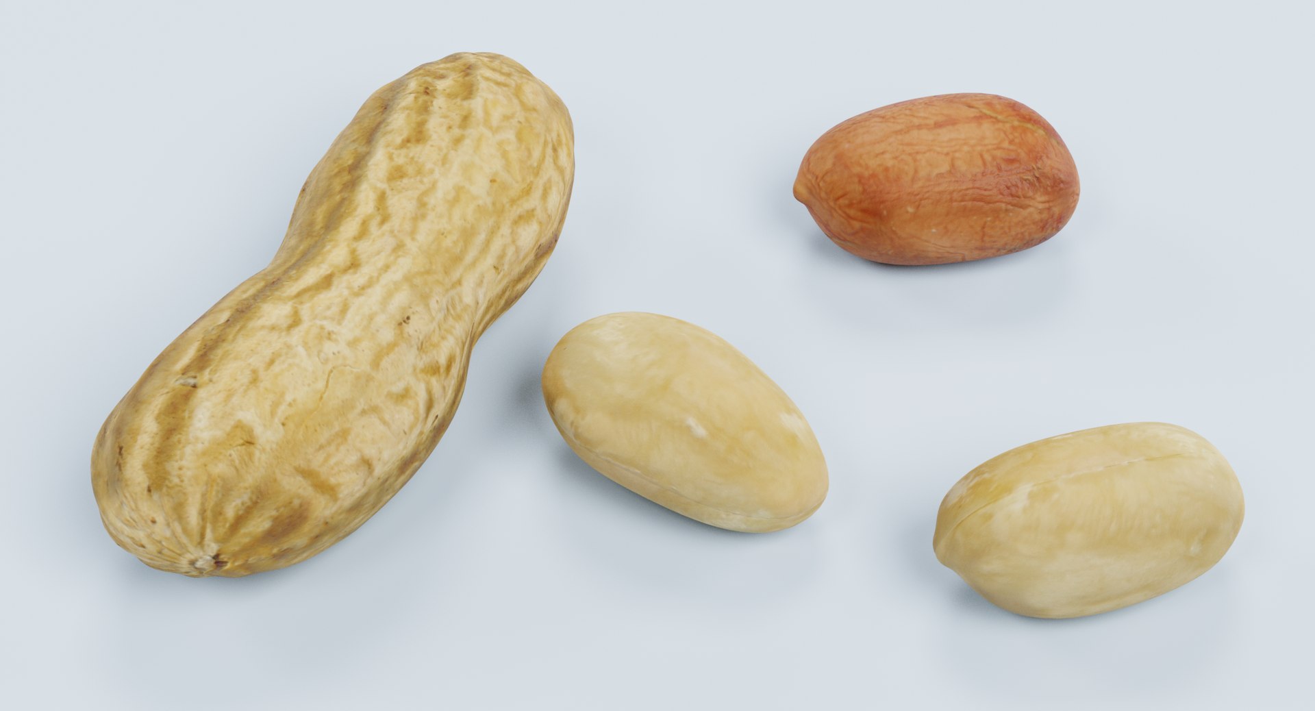 3D nuts walnut shell https://p.turbosquid.com/ts-thumb/xC/J2MuIi/X7W0iBZt/peanutsd/png/1518260992/1920x1080/fit_q87/6d0c0df9fc5bf56622fadc33f6426d432af69365/peanutsd.jpg