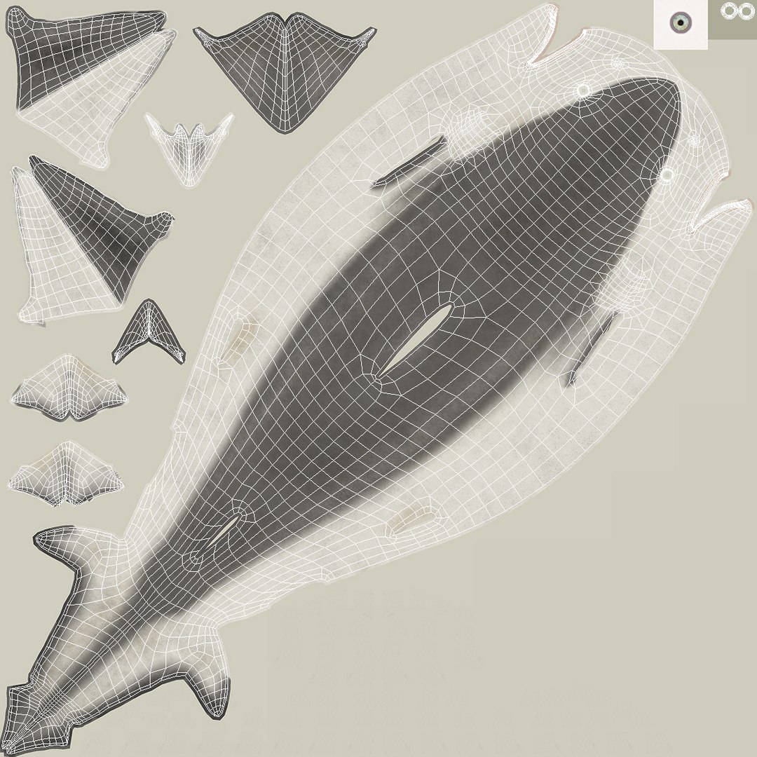 3D Smalltail Shark or Carcharhinus Porosus https://p.turbosquid.com/ts-thumb/xC/JSW6ot/Zi/smalltailsharkorcarcharhinusporosus3dsmodel022/jpg/1724162857/1920x1080/fit_q87/15cc1bc95798726beef38268cd3a19738fee60da/smalltailsharkorcarcharhinusporosus3dsmodel022.jpg