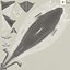 작은꼬리상어 또는 Carcharhinus Porosus