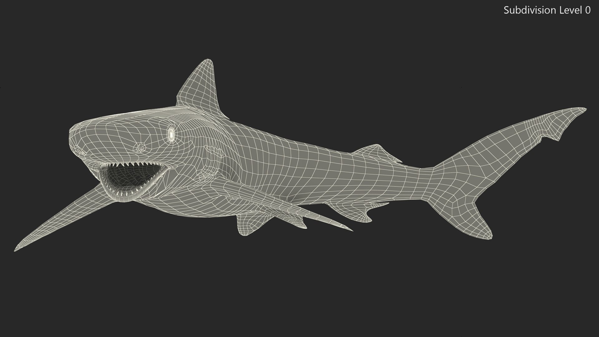 3D Smalltail Shark or Carcharhinus Porosus https://p.turbosquid.com/ts-thumb/xC/JSW6ot/ga/smalltailsharkorcarcharhinusporosus3dsmodel020/jpg/1724162845/1920x1080/fit_q87/35bea063d9dd1ef7bd9d07735ba61213e8206f4b/smalltailsharkorcarcharhinusporosus3dsmodel020.jpg
