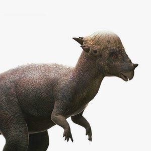 3D model dinosaurs extinction