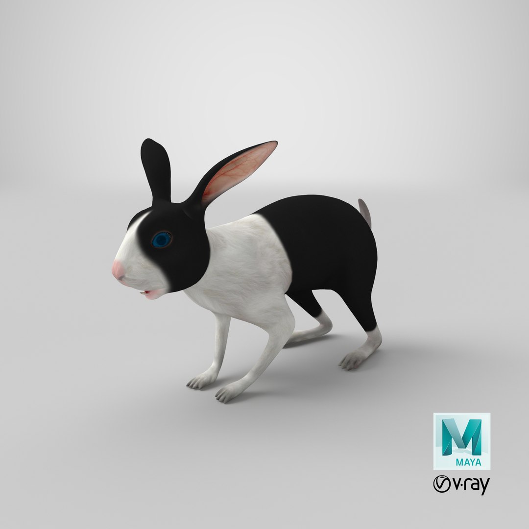 3d Model Black Rabbit