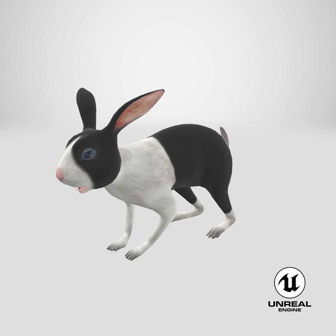 3d Model Black Rabbit