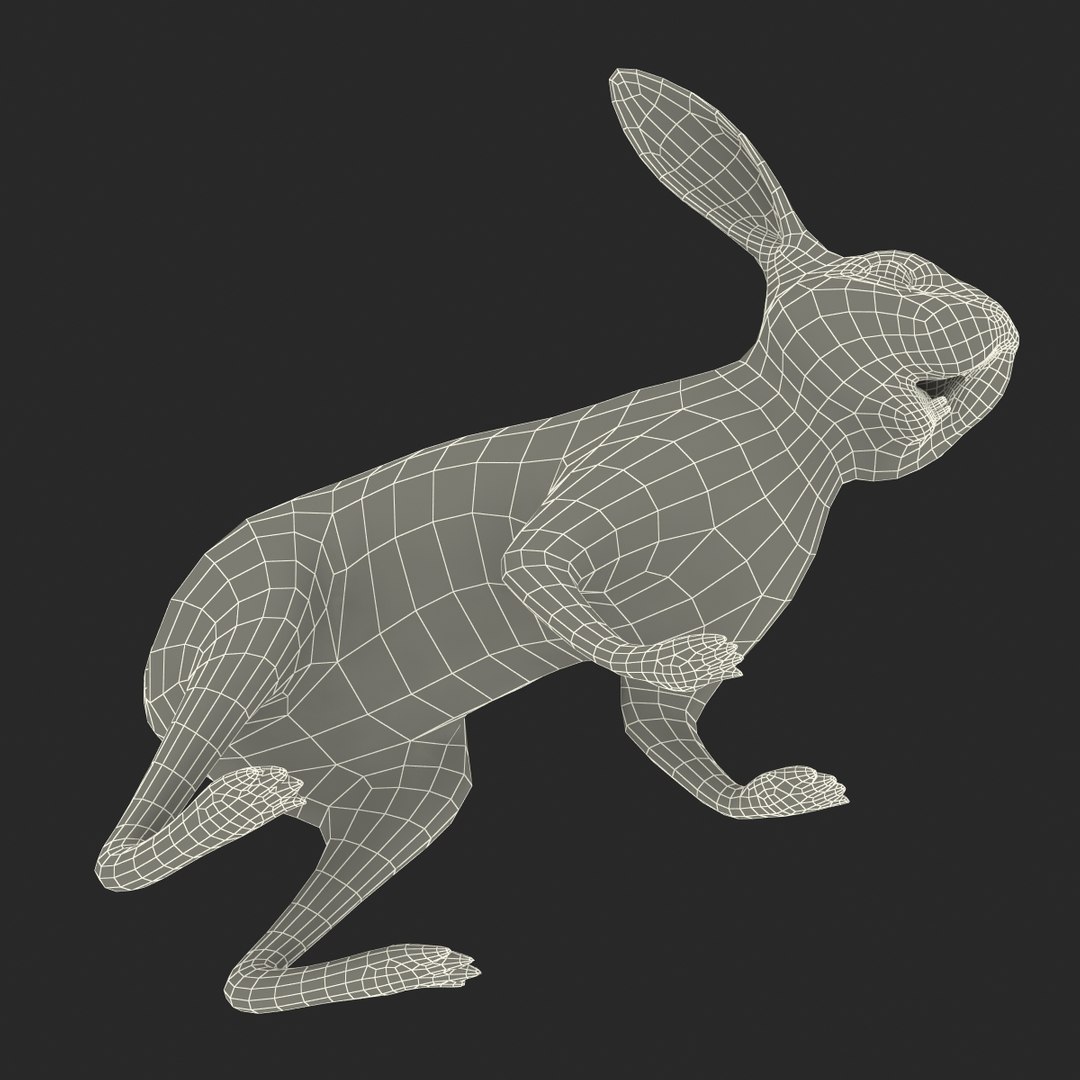 3d Model Black Rabbit