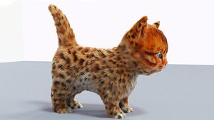 cute hair fur cat 3D model