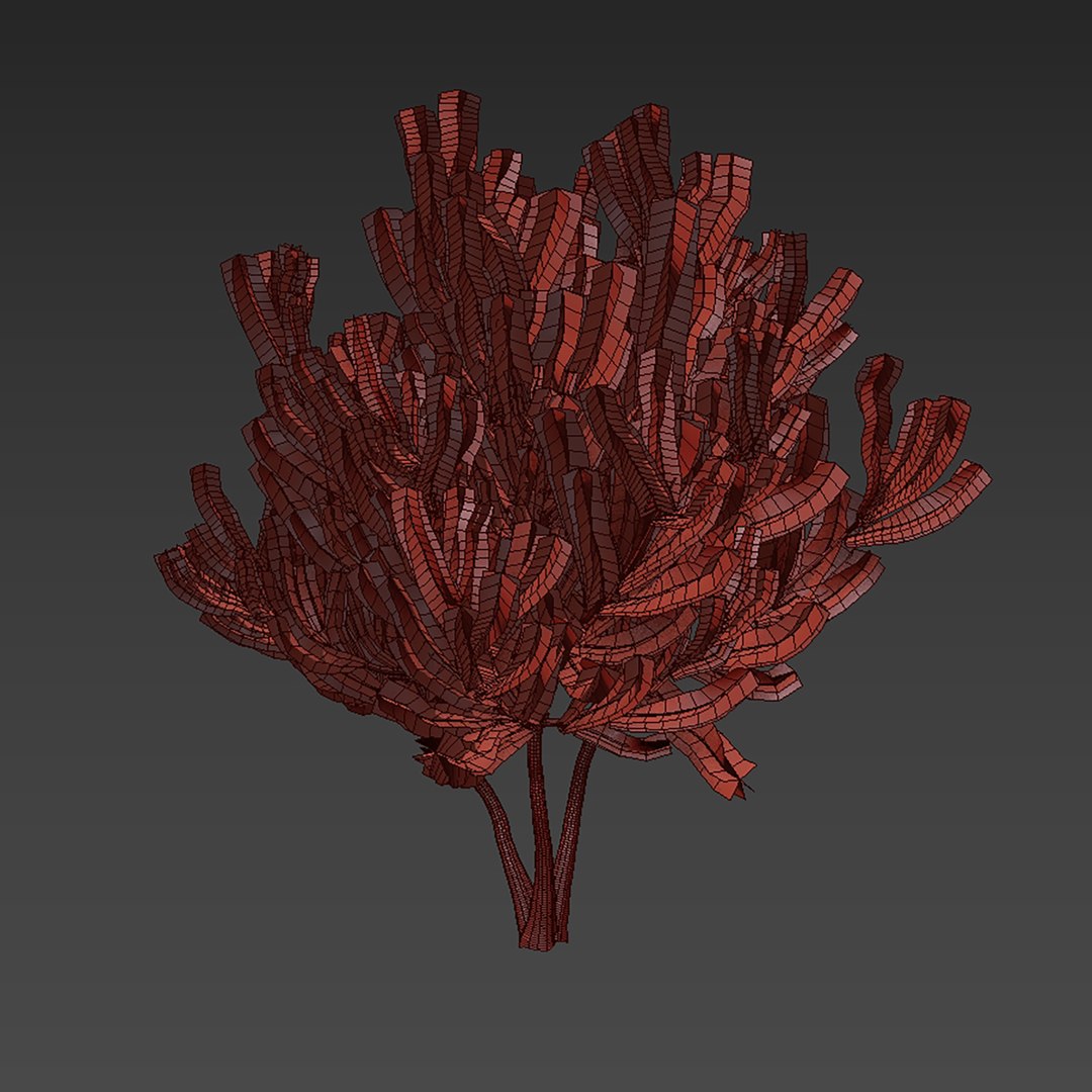 plant vol 994 - Pinus Mugo Bog Pine - shurb - bush 3D https://p.turbosquid.com/ts-thumb/xC/Y3oXES/oH/6/jpg/1787228960/1920x1080/fit_q87/a90834d77db38af497b051a5d88df907b8f53d6c/6.jpg
