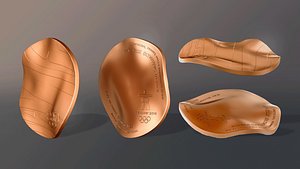 3D Vancouver 2010 Olympic Medal model