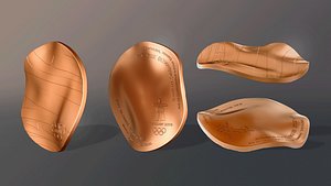 Vancouver 2010 Olympic Medal