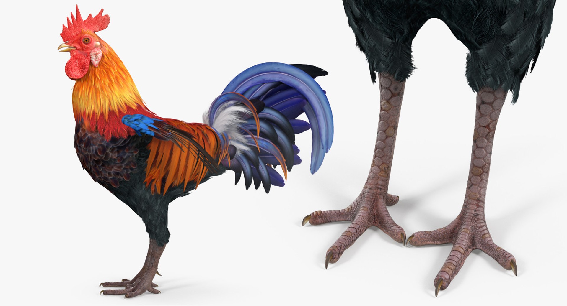 Chicken Gun- Tall Chicken - Download Free 3D model by makskolot7  (@makskolot7) [32c6e59]