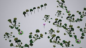 3d model water hyacinth