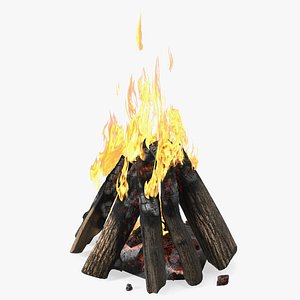 Blazing Fire of Logs