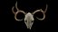 Deer Scull