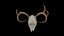 Deer Scull