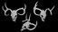 Deer Scull