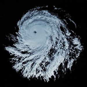 3D storm 2 model